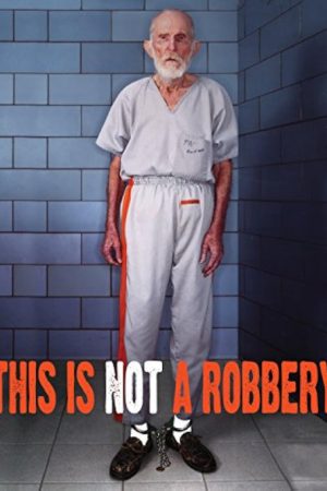 This Is Not a Robbery (2008) poster