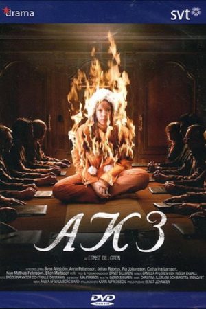 AK3 – Dolda beslut (2006) poster