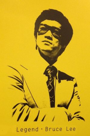 The Brilliant Life of Bruce Lee (2009) poster