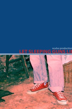 Let Sleeping Guns Lie (2005) poster
