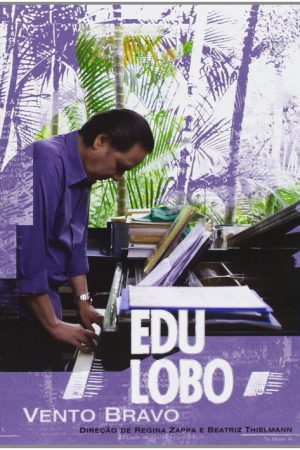 Vento Bravo (2007) poster