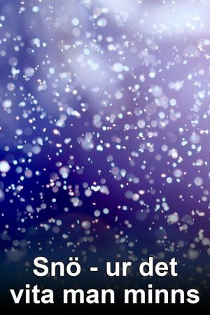 Snow – White Memories (2006) poster