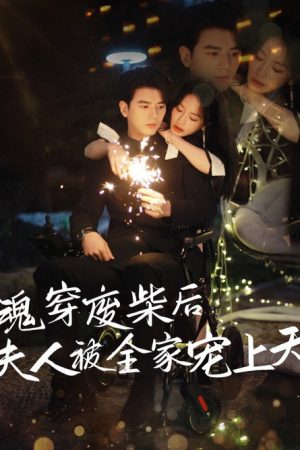 魂穿废材后夫人被全家宠上天 (2025) poster