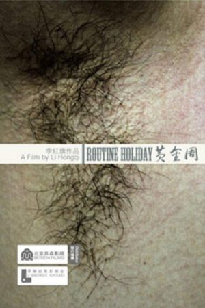 Routine Holiday (2008) poster