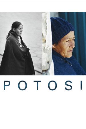 Potosi: The Journey (2006) poster