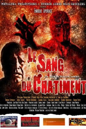 La sangre del castigo (2005) poster