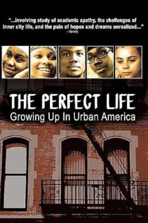 The Perfect Life (2006) poster