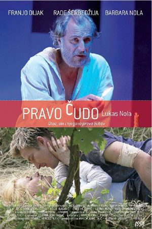 True Miracle (2007) poster