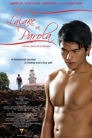 The Man in the Lighthouse (2007) poster