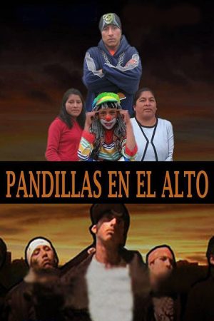 Pandillas en El Alto (2009) poster