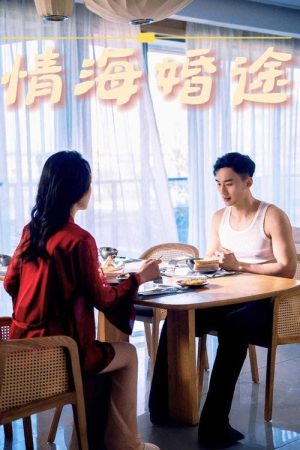 情海婚途 (2025) poster
