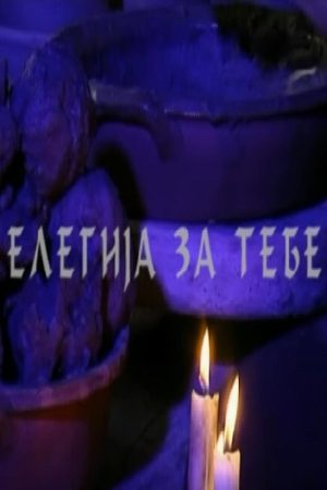 An Elegy for You (2007) poster
