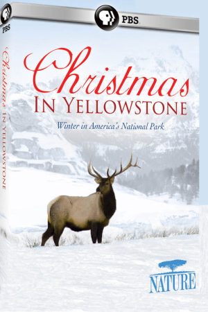 Christmas in Yellowstone (2006) poster