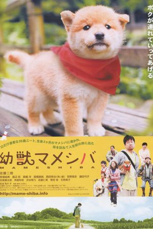 Mameshiba Cubbish Puppy (2009) poster