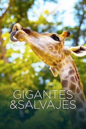 Gigantes y salvajes (2025) poster
