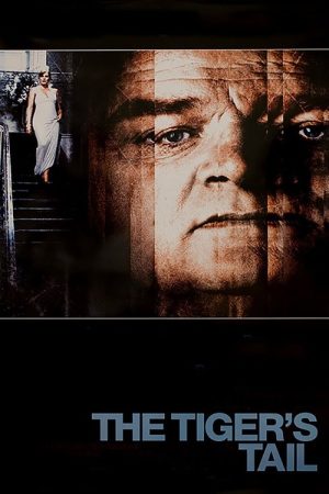 The Tiger’s Tail (2006) poster