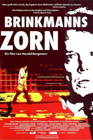 Brinkmanns Zorn (2007) poster