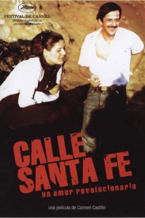 Calle Santa Fe (2007) poster