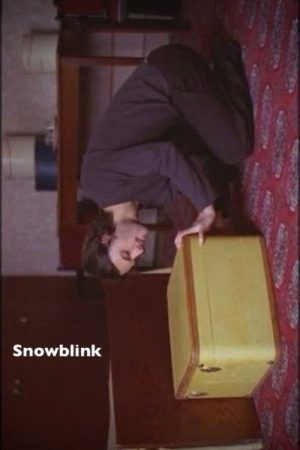 Snowblink (2004) poster