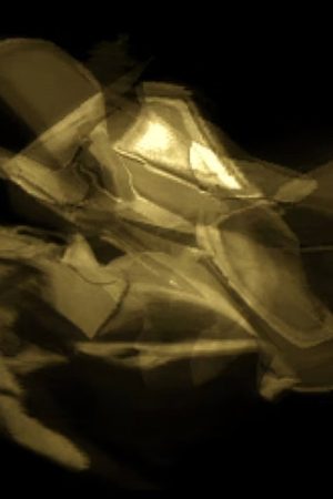 Hyperplasm (2007) poster