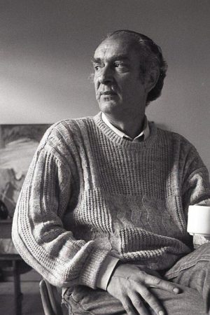 El vértigo de lo horizontal (2007) poster