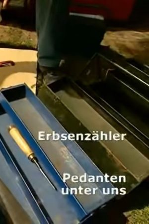 Erbsenzähler – Pedanten unter uns (2006) poster