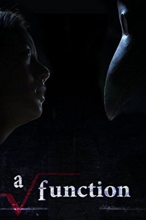 A Function (2011) poster