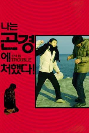 I’m in Trouble! (2009) poster