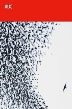 Wilco: Shake It Off (2007) poster