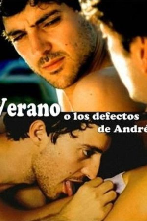 Summer or The Flaws of Andrés (2006) poster