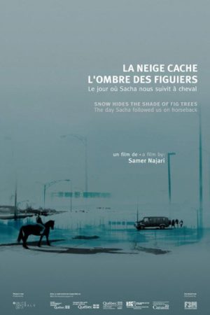 Snow Hides the Shade of Fig Trees (2009) poster