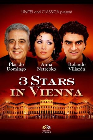 3 Stars in Vienna (2008) poster