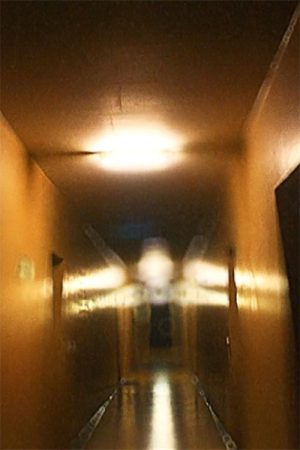 Winzerla Woods (2005) poster
