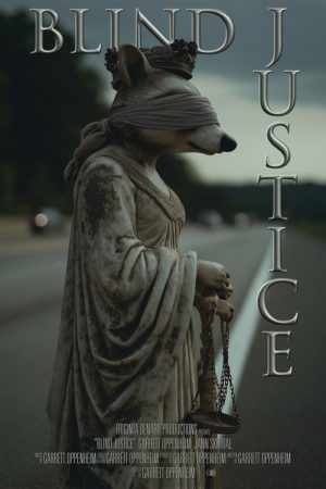 Blind Justice (2009) poster