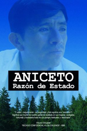 Aniceto, razón de Estado (2009) poster