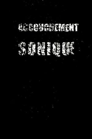 Sonic Birth (2010) poster