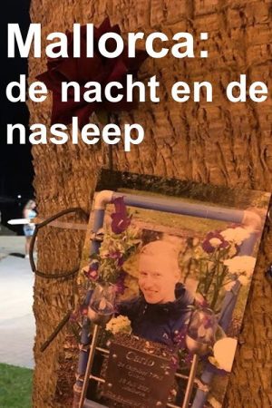 Mallorca: de nacht en de nasleep (2025) poster