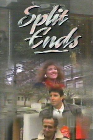 Split Ends (1989) poster