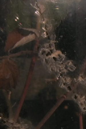 Carnet Perçu (2005) poster