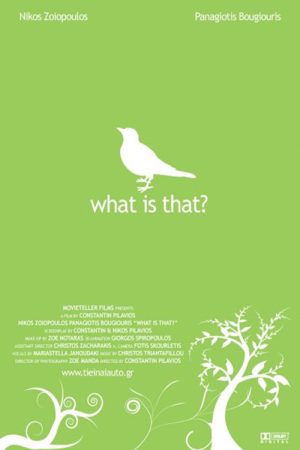 What Is That? (2007) poster