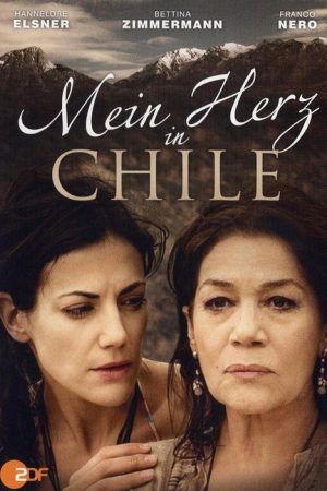Mein Herz in Chile (2008) poster