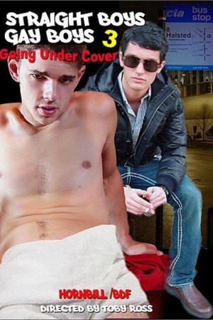 Straight Boys, Gay Boys 3: Going Under Cover (2010) poster