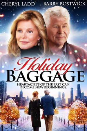 Holiday Baggage (2008) poster
