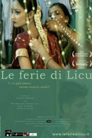 Licu’s holidays (2007) poster