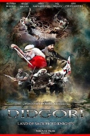 Didgori: Land of Sacrificed Knights (2008) poster