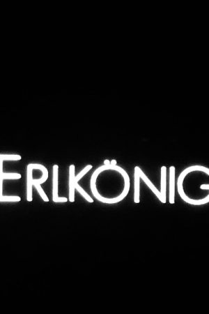 Erlkönig (2007) poster