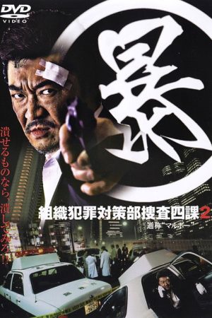 Organized Crime Investigative Task Force 2 (2005) poster