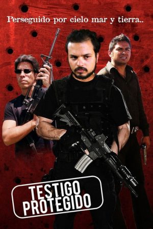 Testigo protegido (2006) poster