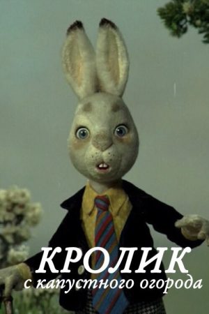 Rabbit from Cabbage Garden (2006) poster