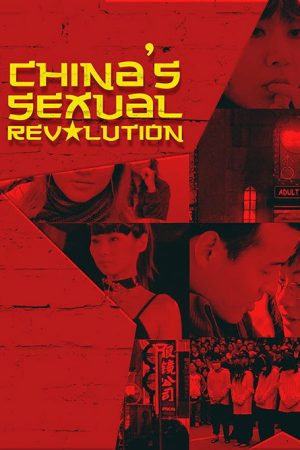 China’s Sexual Revolution (2008) poster